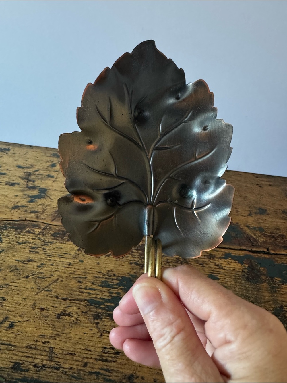 Leaf Trinket Dish with Brass Ring in Dark Brown - Picture 3 of 6